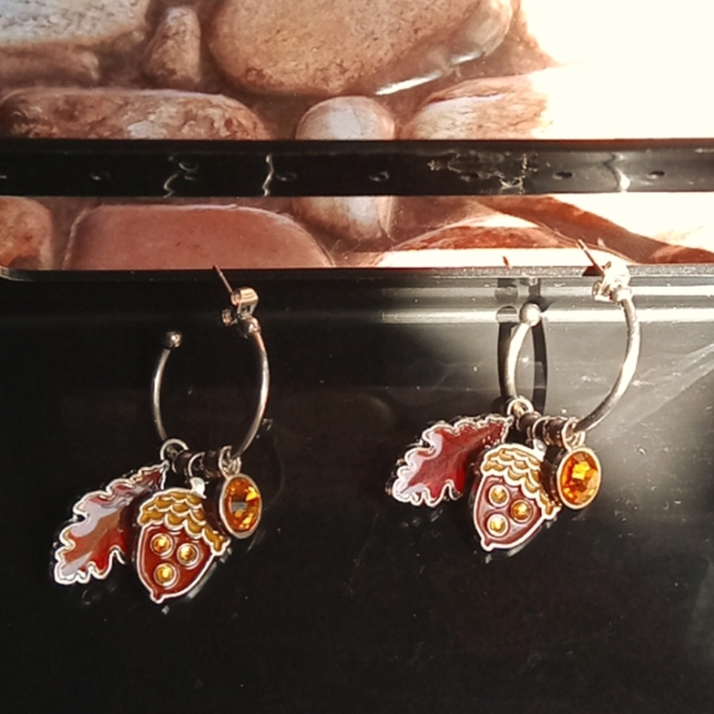 NWOT November Birthstone Charm Hoop Earrings